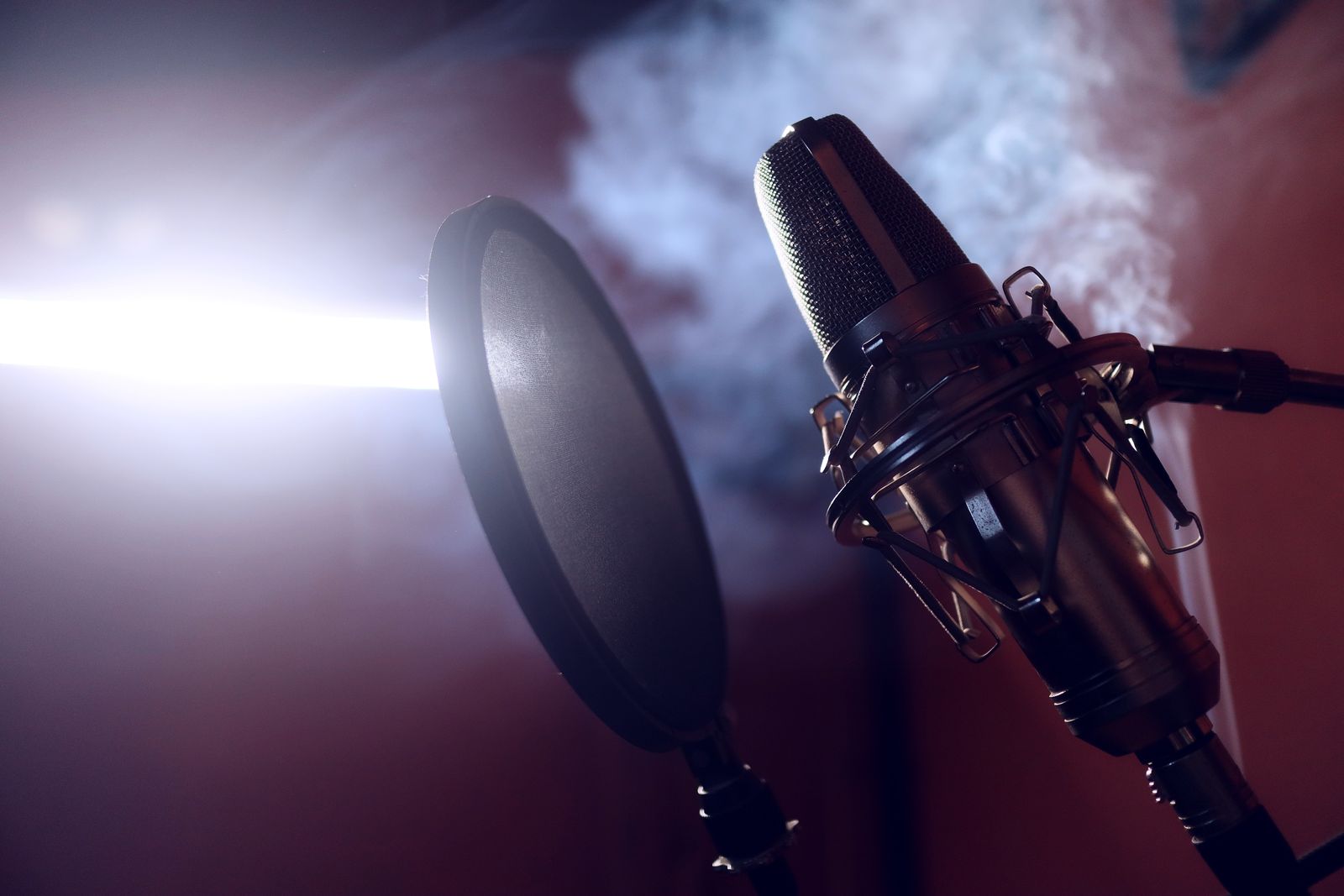 Composizione dell'attrezzatura inclusa nel kit Two-Host Podcast Set